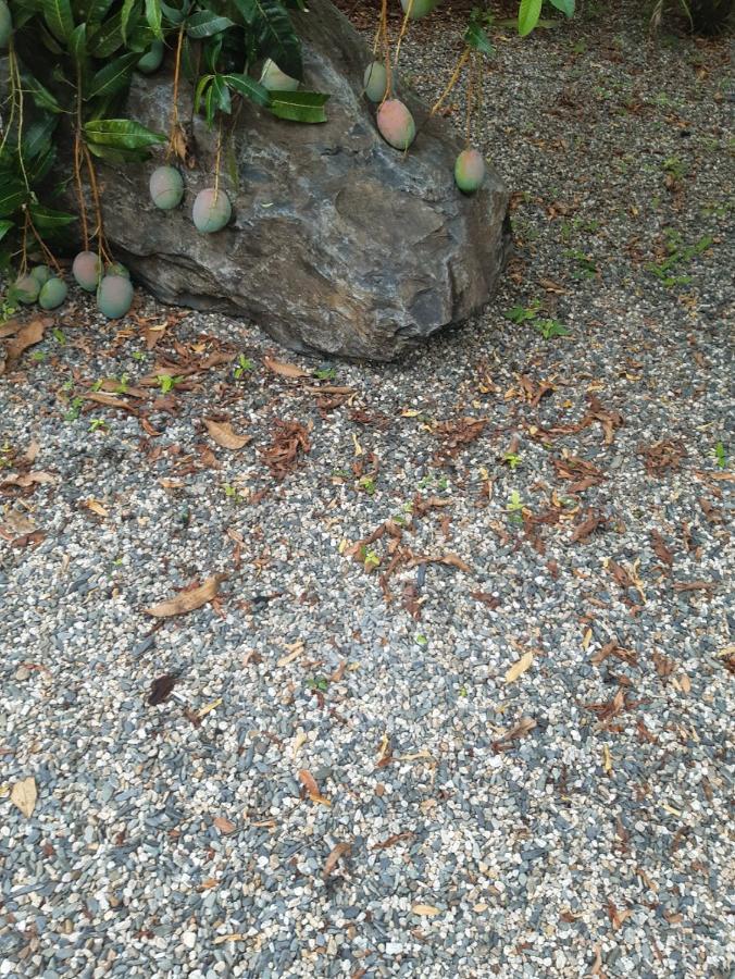 Travellers Paradise Cairns Dış mekan fotoğraf Gravel
