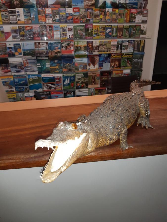 Travellers Paradise Cairns Dış mekan fotoğraf A model of a saltwater crocodile