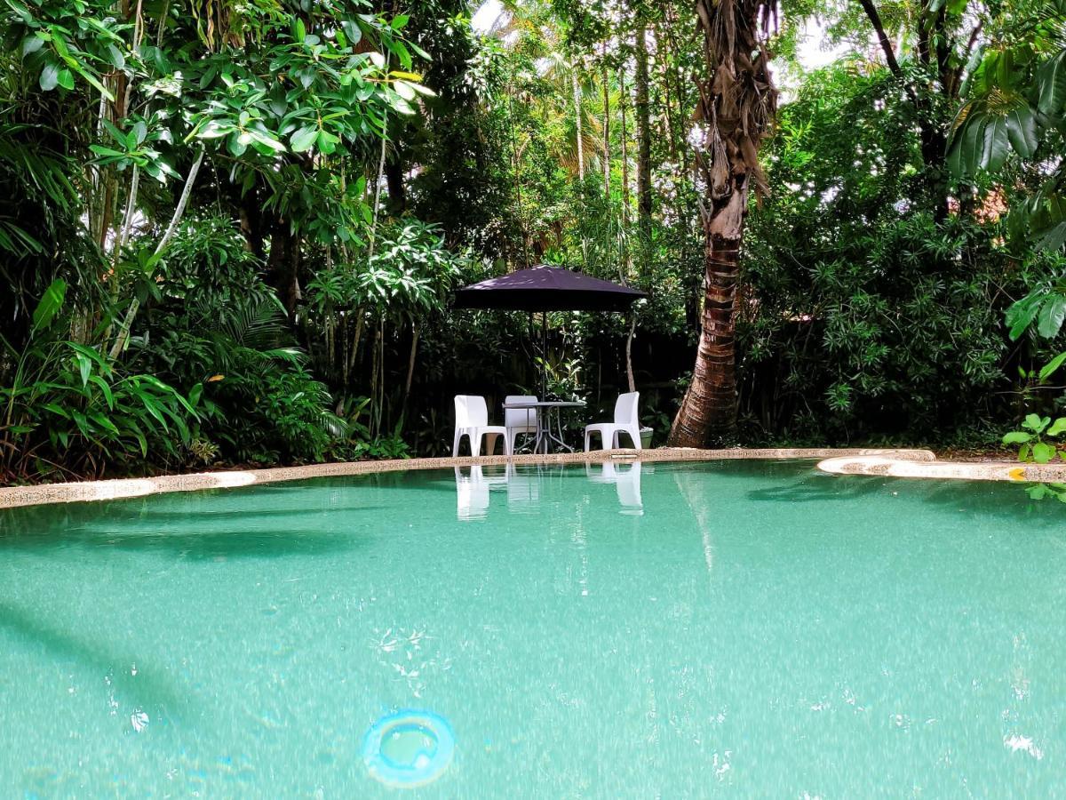 Travellers Paradise Cairns Dış mekan fotoğraf The swimming pool at the Rainforest Ecolodge