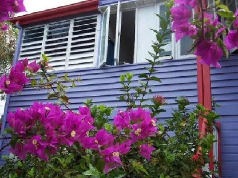 Travellers Paradise Cairns Dış mekan fotoğraf Bougainvillea