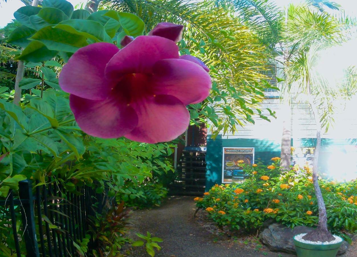 Travellers Paradise Cairns Dış mekan fotoğraf A garden in Hawaii